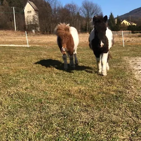 Idzikowianka * Idzikow