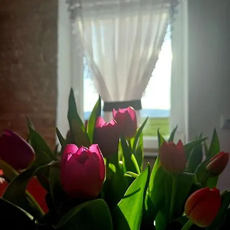 Idzikowianka Дом отдыха Idzikow