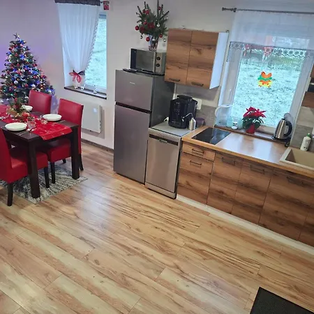 Prázdninový dům Idzikowianka