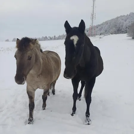 Idzikowianka Prázdninový dům Idzikow