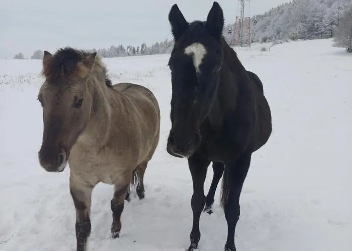 Idzikowianka Holiday home Idzikow